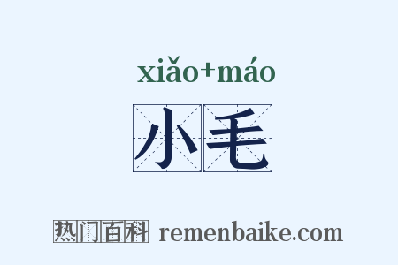小毛是什么意思的图片